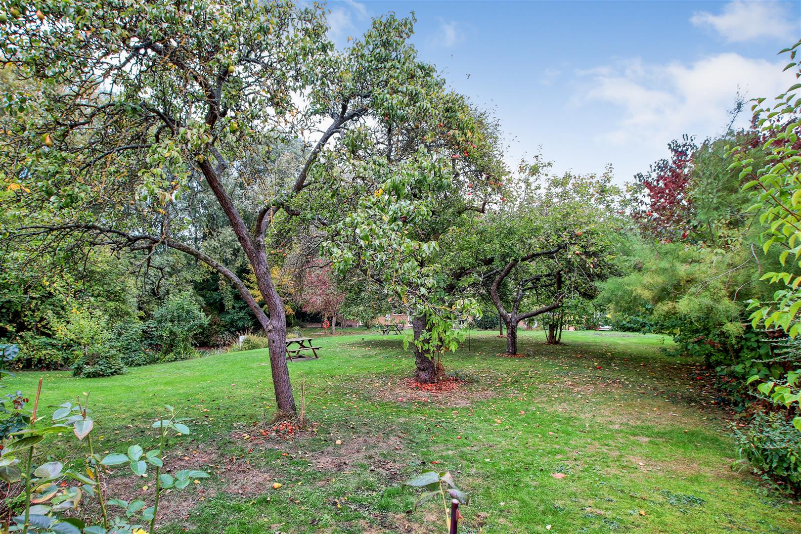 Oyster Row, Cambridge